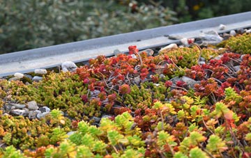 the cost of Giffnock green roof installation